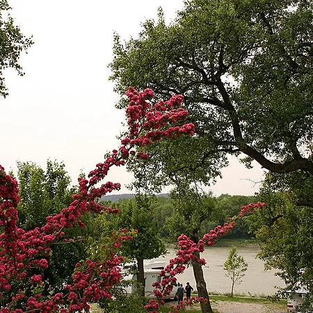 Gasthof-camping Stumpfer 3* Schönbühel an der Donau