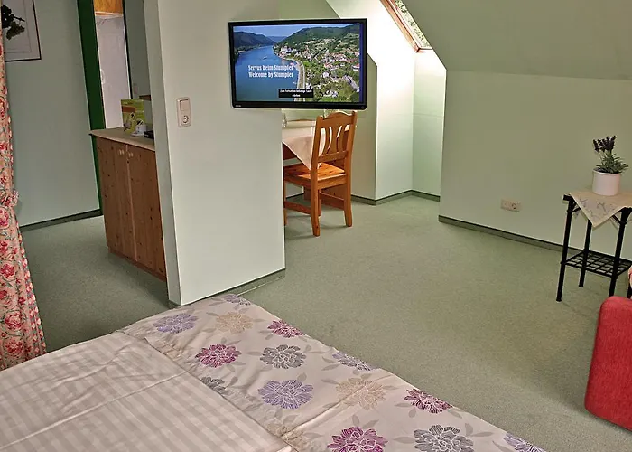 Gasthof-camping Stumpfer 3* Schönbühel an der Donau