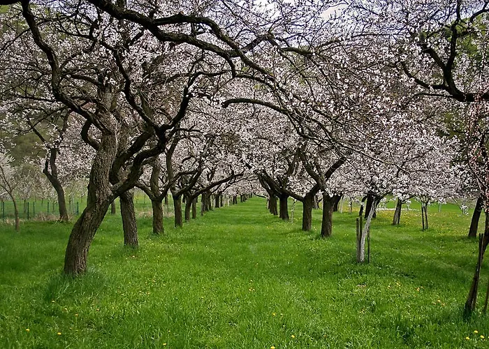 Gasthof-camping Stumpfer 3*